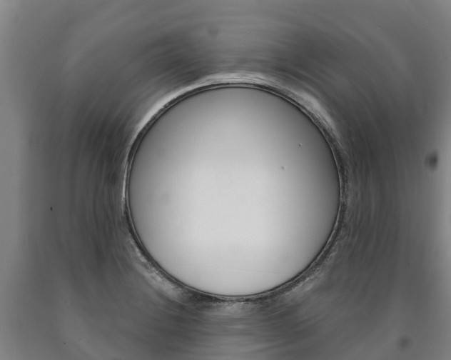 X0000090921228200707301047