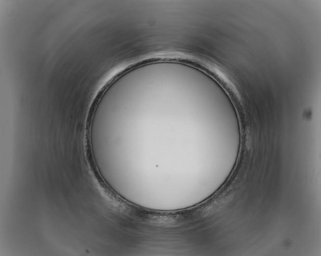 X0000090921229200707301047