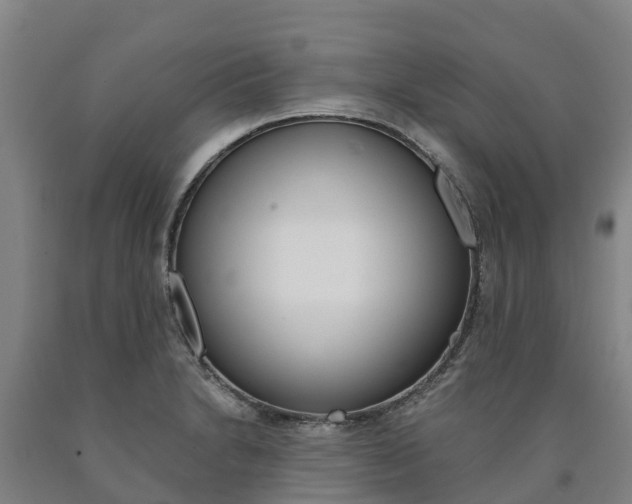 X0000090921230200707301047