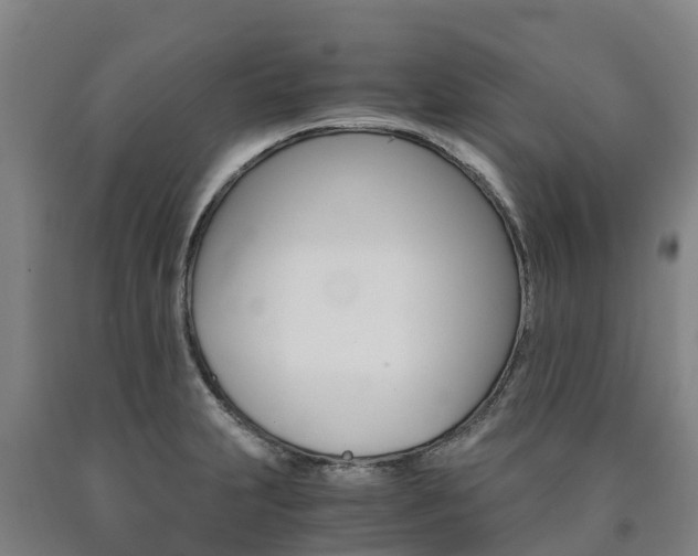 X0000090921231200707301047