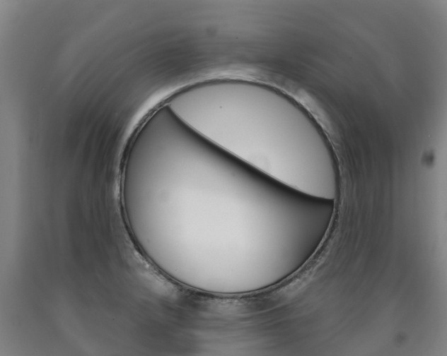 X0000090921232200707301047