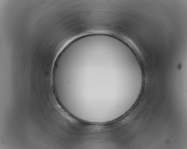 X0000090921236200707301047