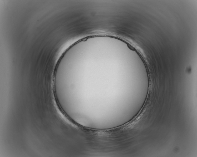 X0000090921239200707301047