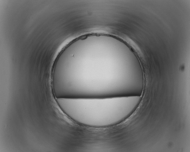 X0000090921240200707301047
