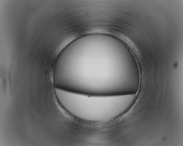 X0000090921241200707301047