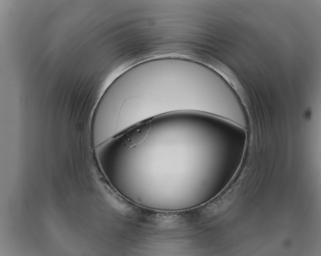 X0000090921242200707301047
