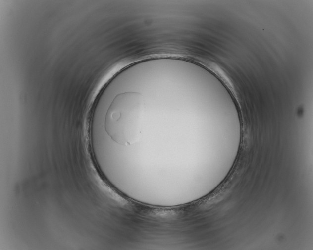 X0000090921243200707301047
