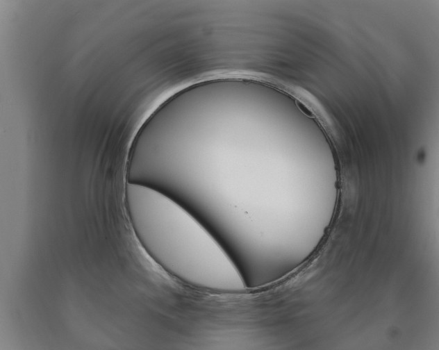 X0000090921244200707301047