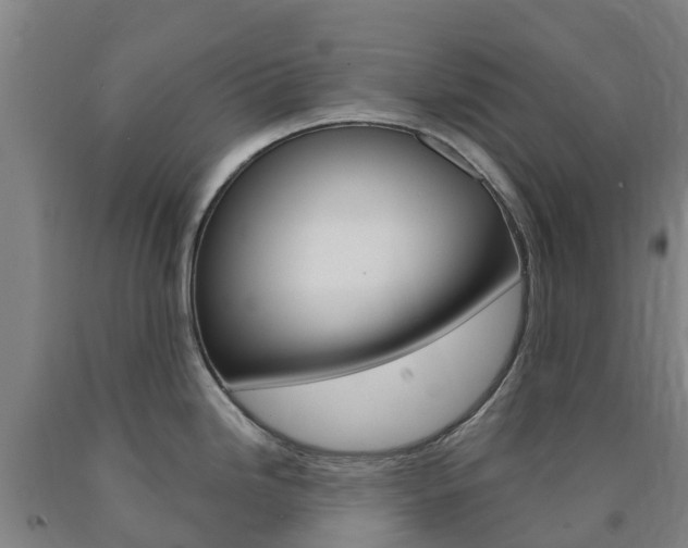 X0000090921246200707301047