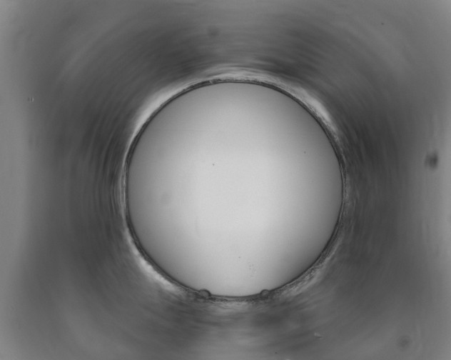 X0000090921247200707301047