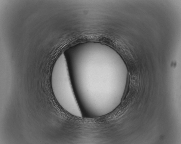 X0000090921249200707301046