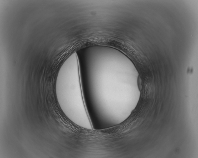 X0000090921250200707301046