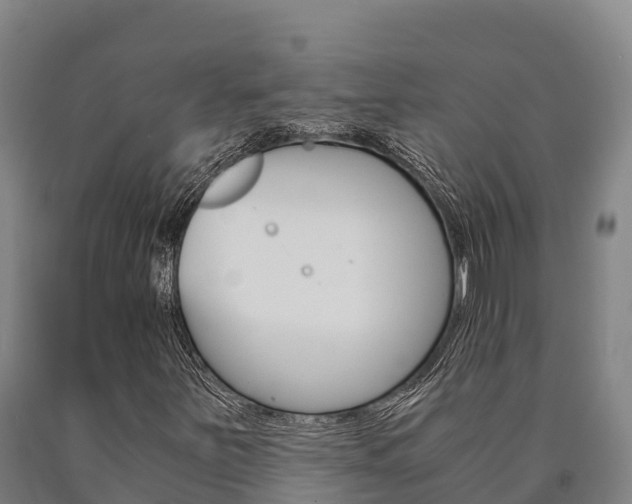 X0000090921251200707301046