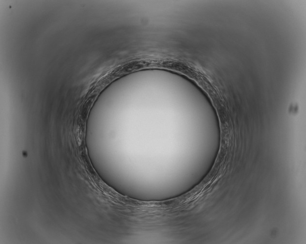 X0000090921253200707301046