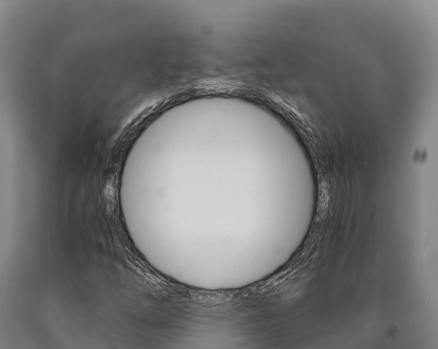 X0000090921254200707301046
