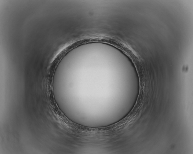 X0000090921256200707301046