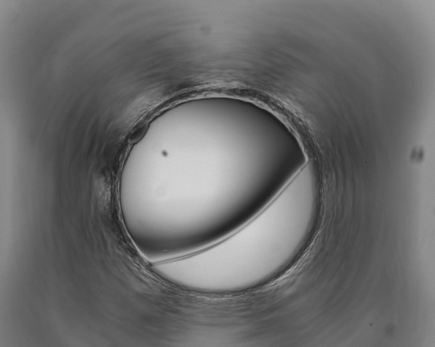 X0000090921257200707301046