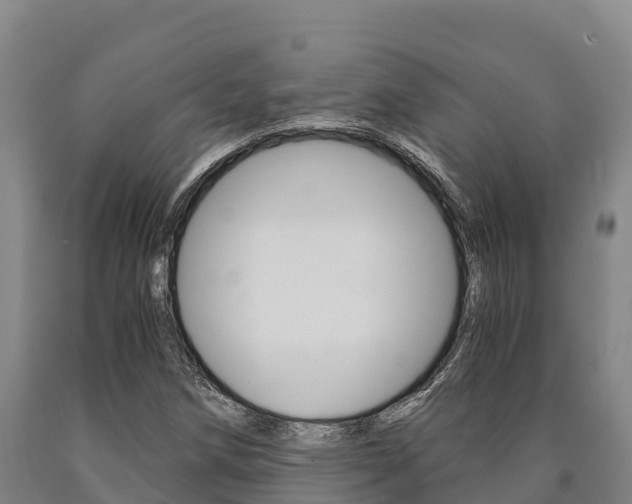 X0000090921258200707301046