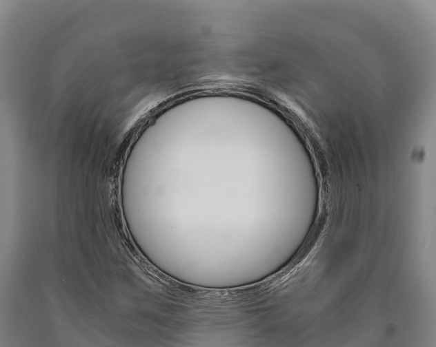 X0000090921259200707301046
