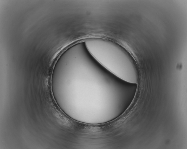 X0000090921260200707301046