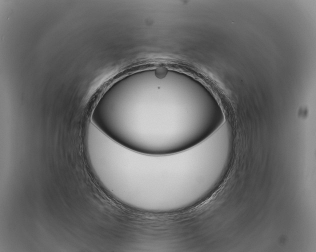 X0000090921261200707301046