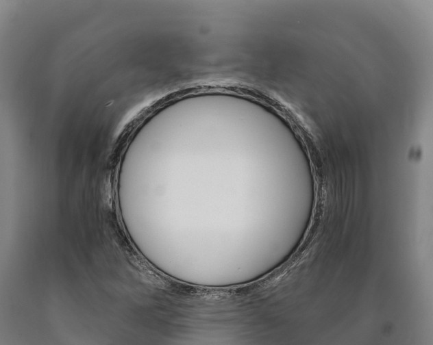X0000090921262200707301046