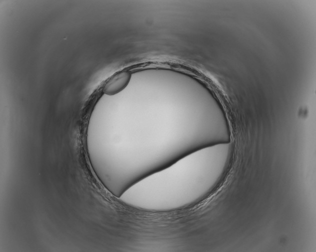 X0000090921263200707301046