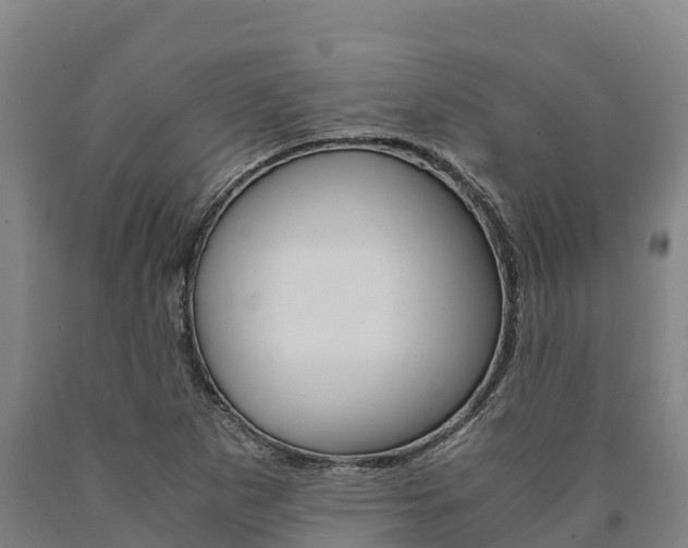 X0000090921265200707301046