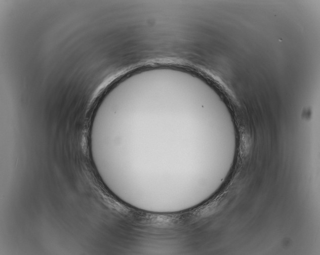 X0000090921266200707301046