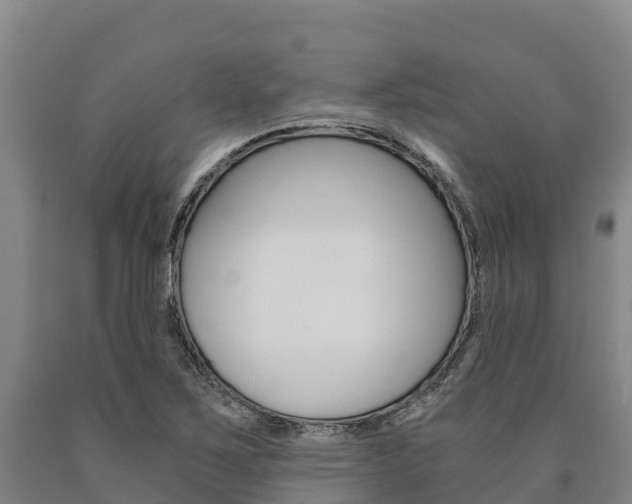 X0000090921267200707301046