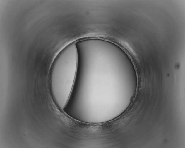 X0000090921268200707301046