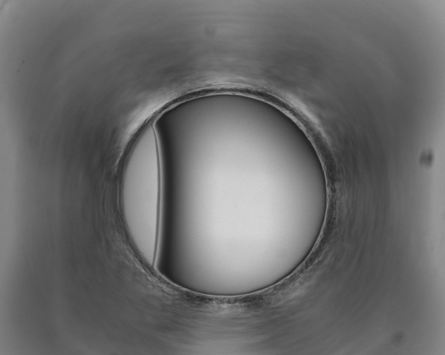 X0000090921269200707301046