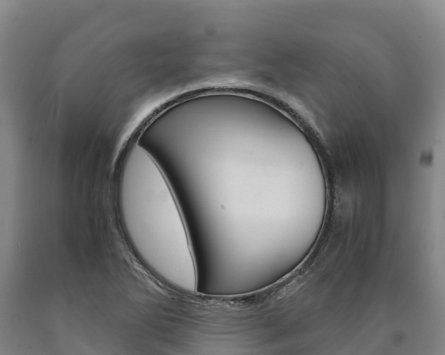 X0000090921270200707301046
