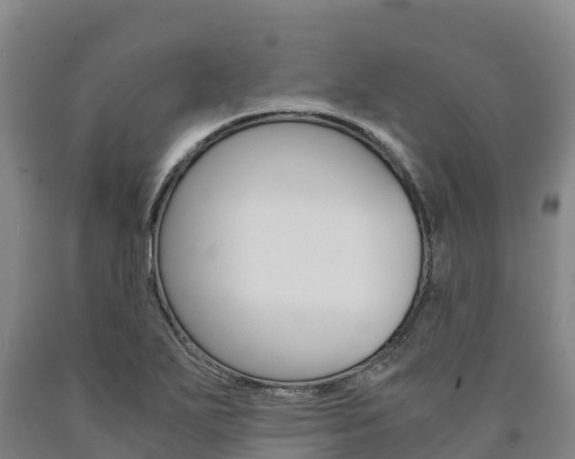 X0000090921271200707301046