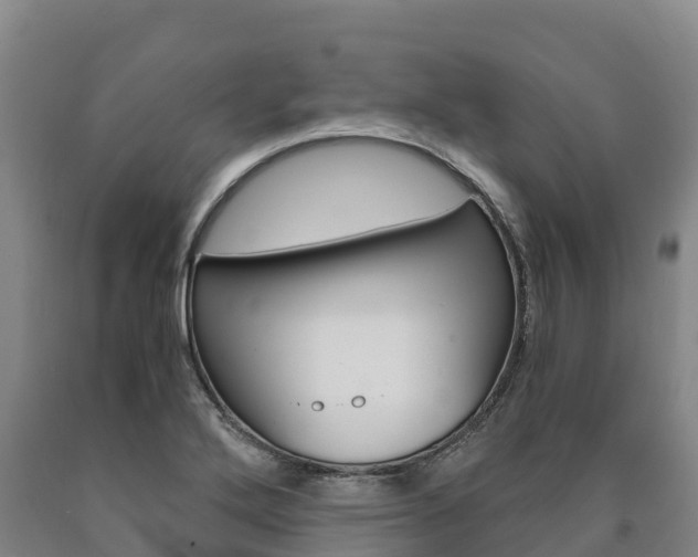 X0000090921272200707301046