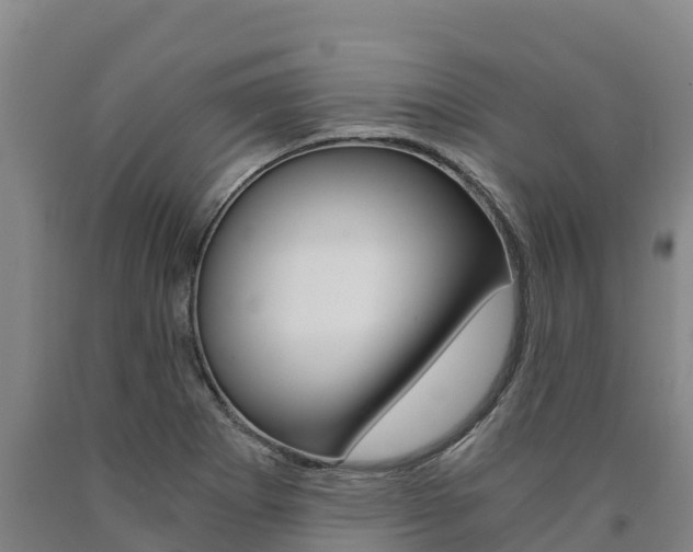X0000090921273200707301046