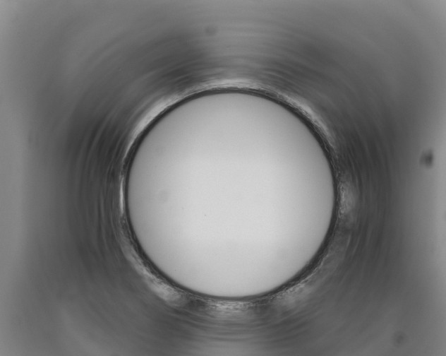 X0000090921274200707301046