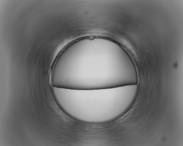 X0000090921275200707301046