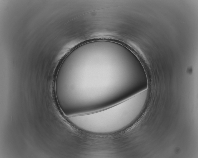 X0000090921277200707301046