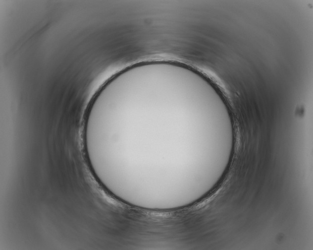 X0000090921278200707301046