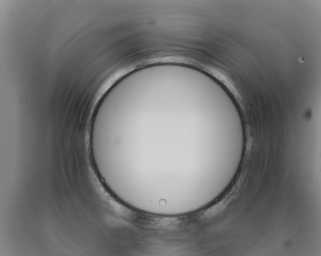 X0000090921282200707301046