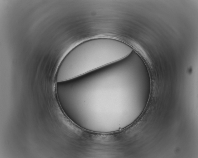 X0000090921284200707301046