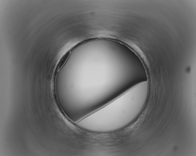 X0000090921285200707301046