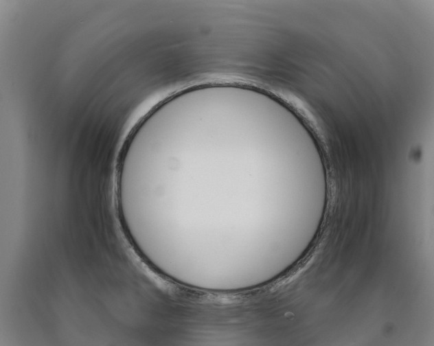 X0000090921286200707301046