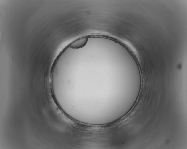 X0000090921287200707301046