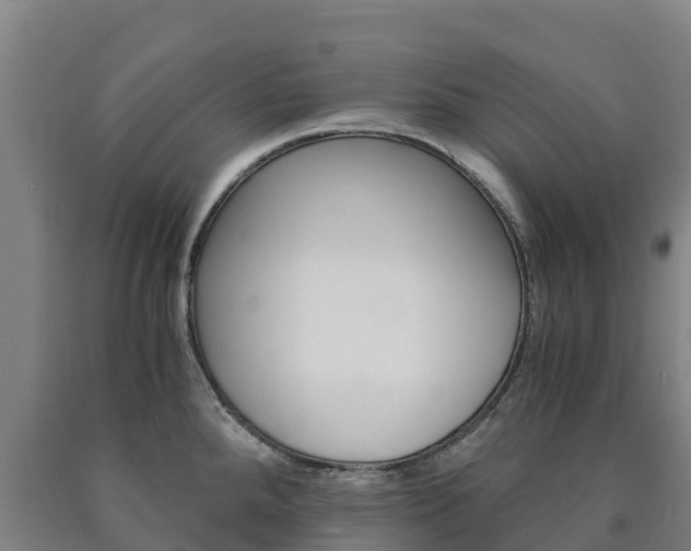 X0000090921288200707301046