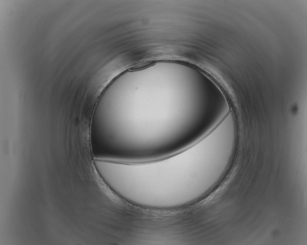 X0000090921289200707301046