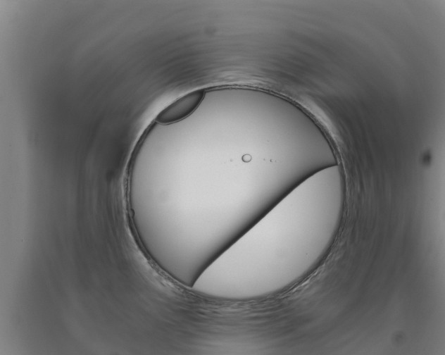X0000090921291200707301046