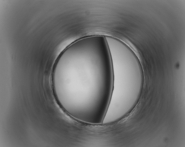 X0000090921293200707301046