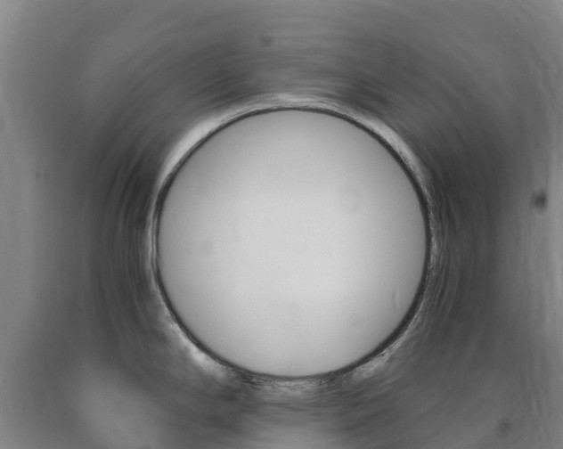 X0000090921294200707301046